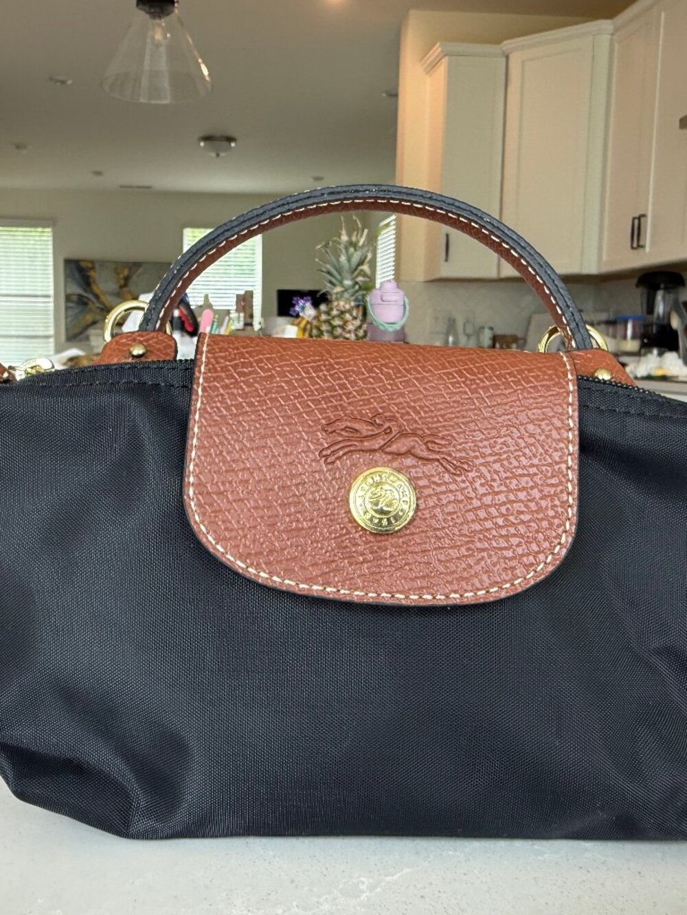 Longchamp Le Pliage Mini Black and Brown